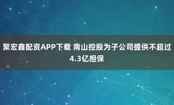 聚宏鑫配资APP下载 南山控股为子公司提供不超过4.3亿担保