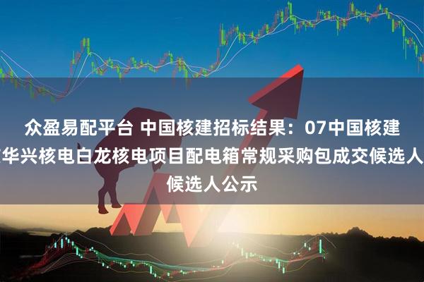 众盈易配平台 中国核建招标结果：07中国核建中核华兴核电白龙核电项目配电箱常规采购包成交候选人公示