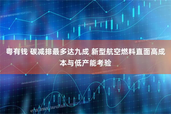 粤有钱 碳减排最多达九成 新型航空燃料直面高成本与低产能考验