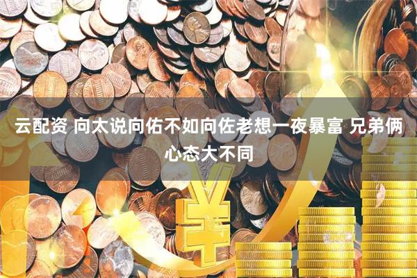 云配资 向太说向佑不如向佐老想一夜暴富 兄弟俩心态大不同