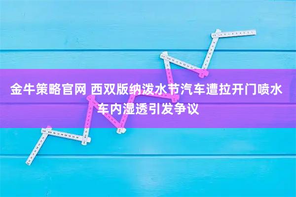 金牛策略官网 西双版纳泼水节汽车遭拉开门喷水 车内湿透引发争议